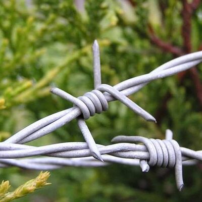 Barbed-Fencing-Wire